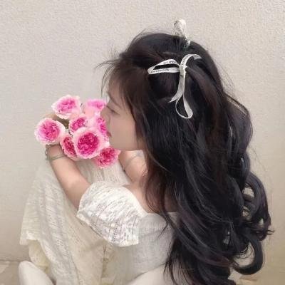 喵的诈骗集团海报